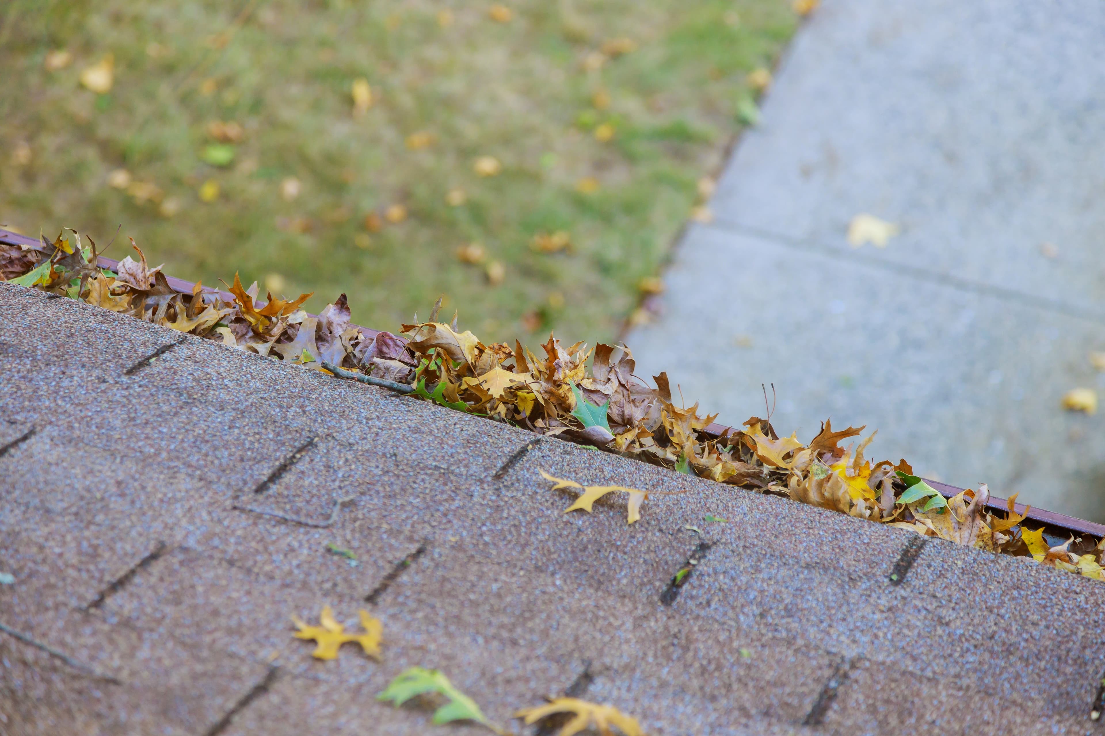 Gutter Clean-Outs